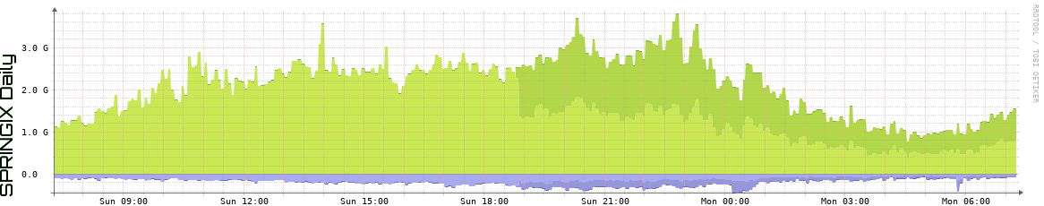 SPRINGIX Daily Utilization